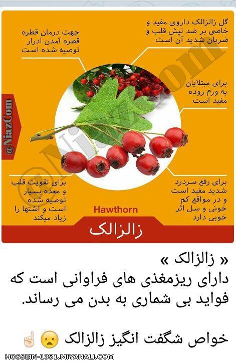 میانه