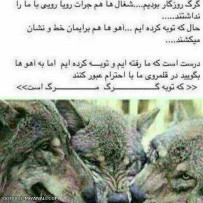 گرگ ها