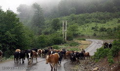 جاده دراسله-سوادکوه