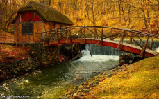 خونه رویایی