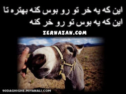 واقعا که راست میگه نهههههههههههه........بزن لایکوو