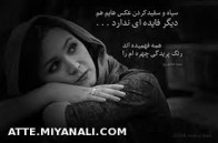 همه فهمیدند...