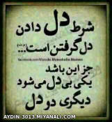 شرط دل..