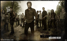 THE WALKING DEAD Series