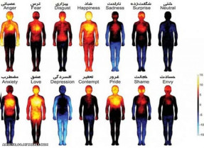 واکنش های حیرت انگیز بدن به عکس العمل ما