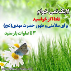 یا مهدی عج