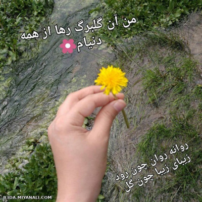 عکسنوشته/