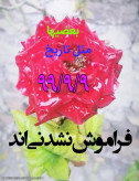 نسیم وصل