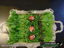  نحوه ی تزیین سبزی خوردن