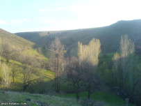 قسمت دیگه ای از باغمون.