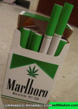 marlboro5