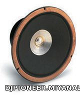 pioneer