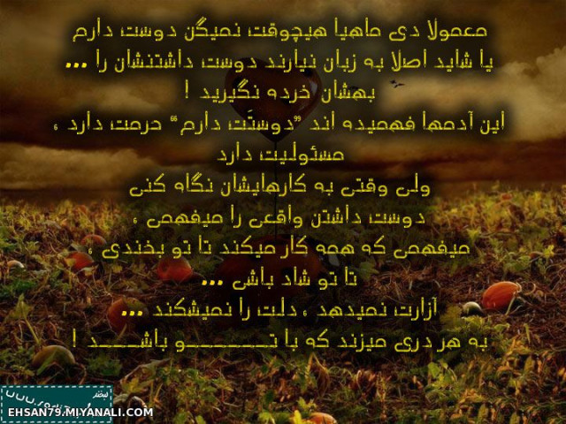 فقط دی