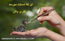 ای که دستت می رسد کاری بکن...