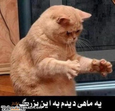 به این بزرگی!!!!