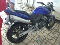 honda hornet