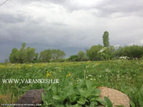 تصویری از بهار روستای ورنکش