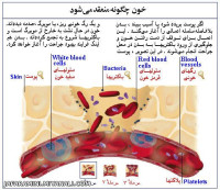 چگونه خون منعقد میشود