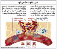 چگونه خون منعقد میشود