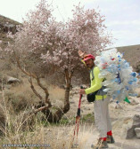 ایران برای ماست 