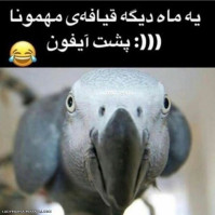 خخخخ