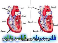 تفاوت را احساس کنید