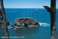 نماز شب