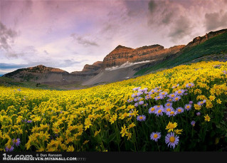 اینا همش برا ایدایی