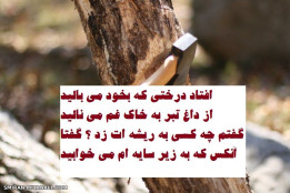 ناله درخت از نامردی تبر