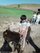 صد بار گفتم بدون گواهینامه سوار وسیله نشو خطرناکه