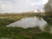 از نمایی دیگر