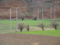 طبیعت روستای آونلیق و برنجق