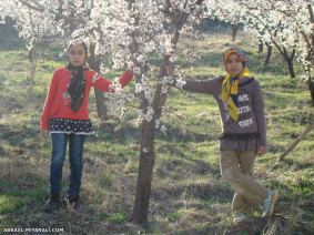 فاطمه و مهسا(روستای آونلیق)