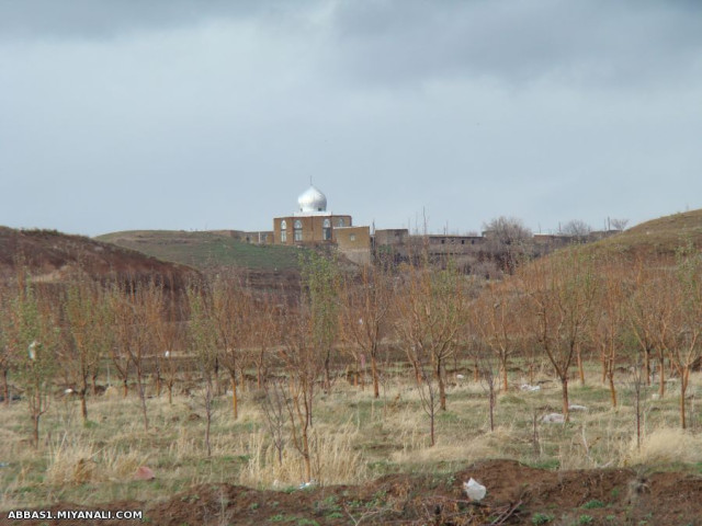 امامزاده روستای چنار