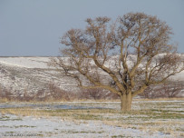 طبیعت روستای بالسین 12فروردین 1393