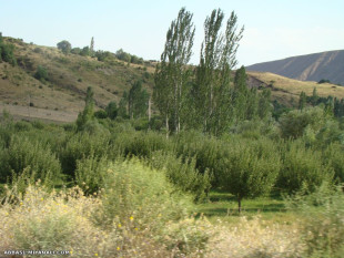 طبیعت روستای نشق(میانه)