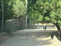 روستای نشق(شهر میانه)