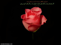 امام مهدی(ع)