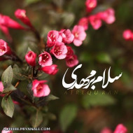 تبریک میلاد امام زمان(عج)