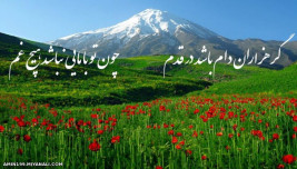 عکس نمایه جواد ظریف