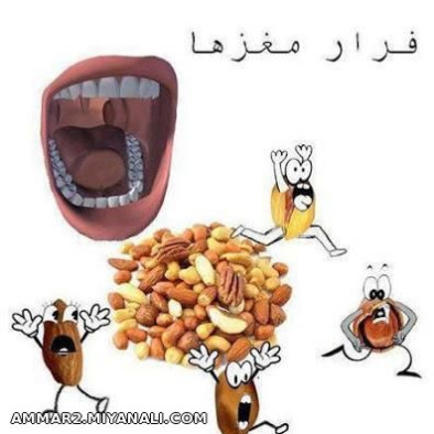 فرار مغزها ...