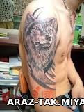 WOlf tattoo