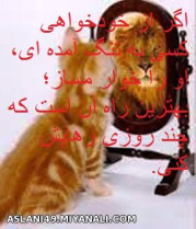 خودخواهی