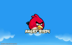 ANGRY BIRDS