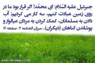 جبرئیل علیه السّلام: ای محمّد! اگر قرار بود ما در روی زمین عبادت کنیم، سه کار می کردیم...