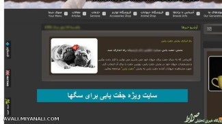  عکس/ سایت ویژه جفتیابی برای سگها 