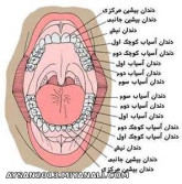 دندان