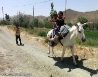 آری از پشت کوه آمده ام...