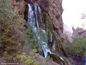 طبیعت زیبا