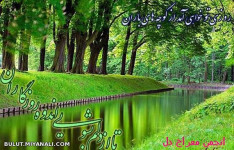 روزی تو خواهی آمد....